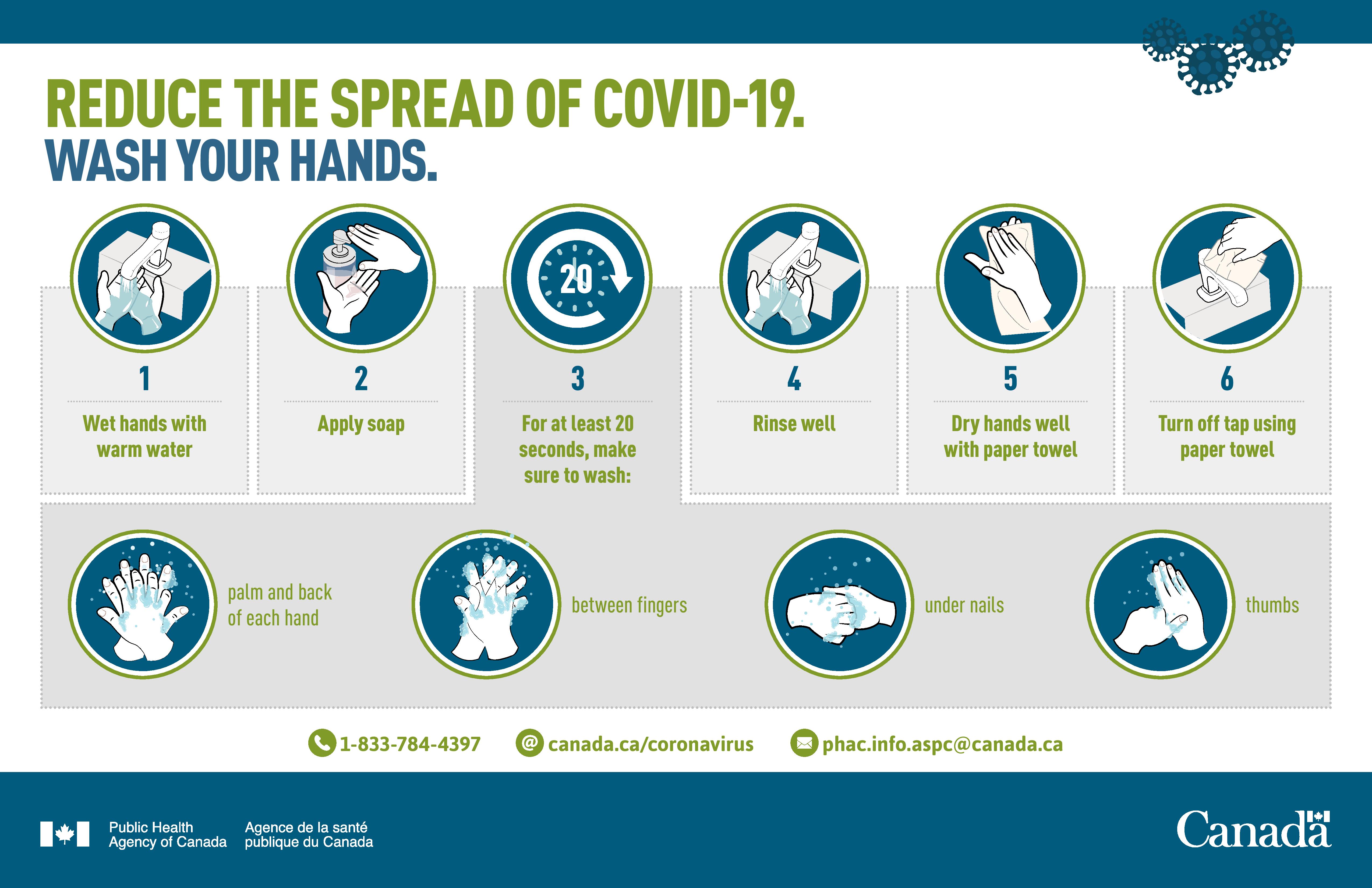 COVID-19 hand washing guide