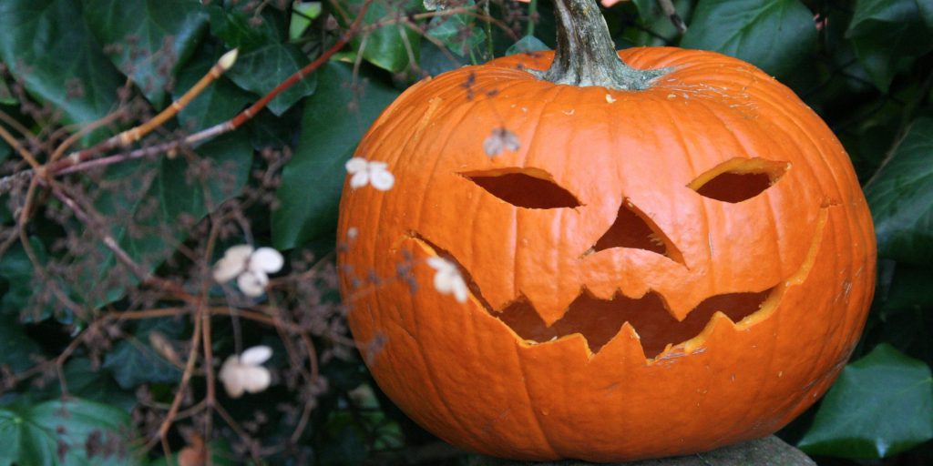 Newcomer’s Guide to Halloween in Canada  Arrive