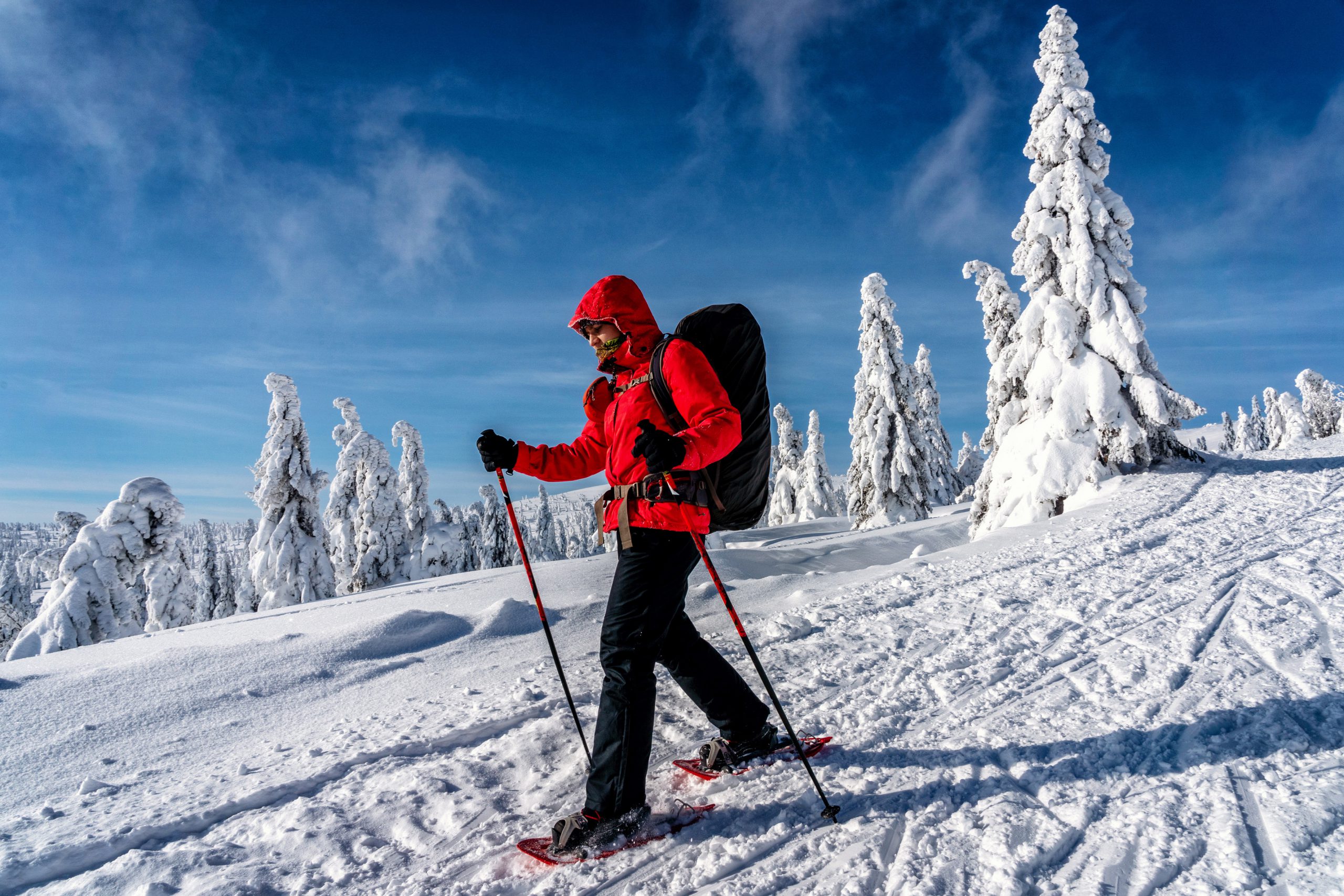 Man in red jacket snowshoeing